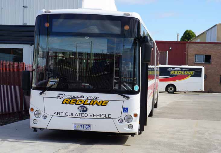 Tasmanian Redline Bonluck CityStar Artic 121